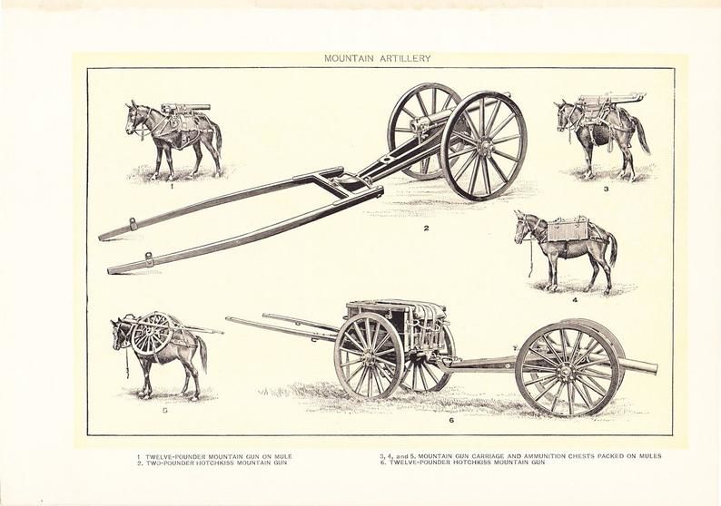 gun cart.jpg